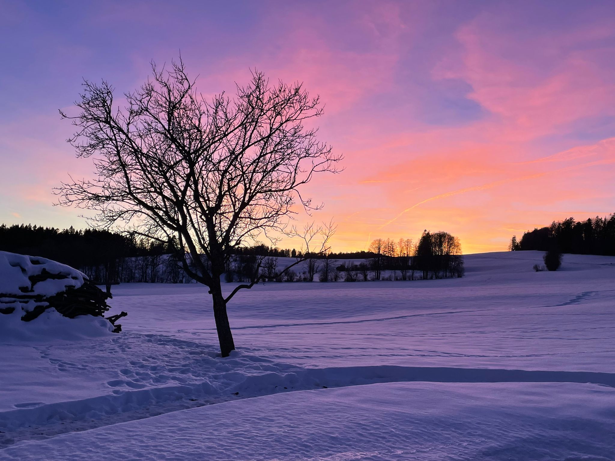 Paysage enneige des Franches-Montagnes, canton du Jura